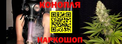 прущие грибы Рыбинск