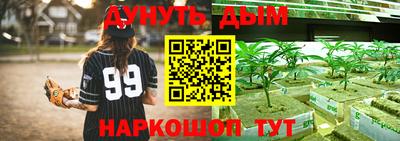 прущие грибы Рыбинск